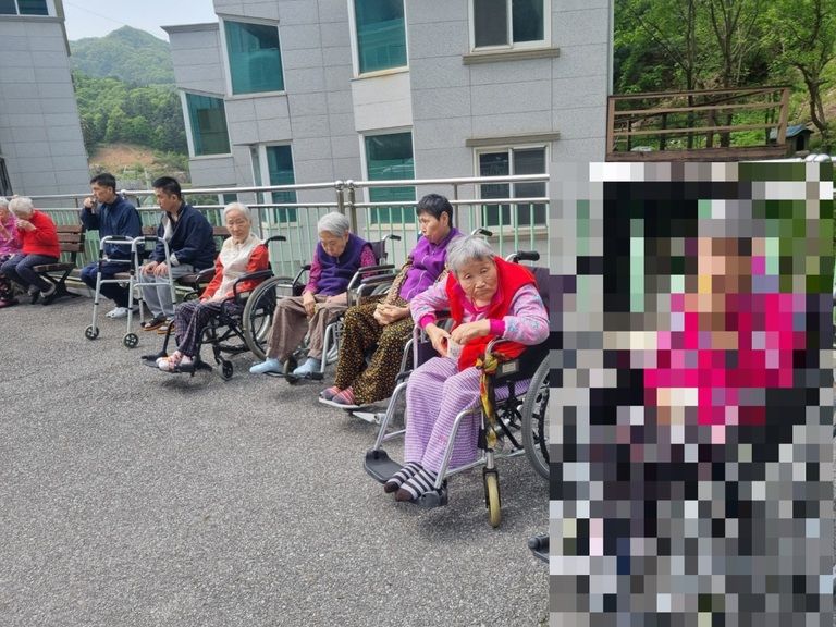 야외나들이 삼림욕 프로그램 활동입니다. (2025. 05. 06)