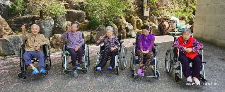야외나들이 삼림욕 프로그램 활동입니다. (2024. 04. 18)